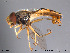  ( - NorSy217)  @14 [ ] CreativeCommons - Attribution Non-Commercial Share-Alike (2012) NTNU Museum of Natural History and Archaeology NTNU Museum of Natural History and Archaeology