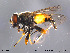  ( - NorSy218)  @13 [ ] CreativeCommons - Attribution Non-Commercial Share-Alike (2012) NTNU Museum of Natural History and Archaeology NTNU Museum of Natural History and Archaeology