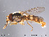  ( - NorSy231)  @13 [ ] CreativeCommons - Attribution Non-Commercial Share-Alike (2012) NTNU Museum of Natural History and Archaeology NTNU Museum of Natural History and Archaeology