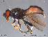  ( - NorSy256)  @14 [ ] CreativeCommons - Attribution Non-Commercial Share-Alike (2012) NTNU Museum of Natural History and Archaeology NTNU Museum of Natural History and Archaeology