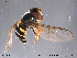  ( - NorSy260)  @13 [ ] CreativeCommons - Attribution Non-Commercial Share-Alike (2012) NTNU Museum of Natural History and Archaeology NTNU Museum of Natural History and Archaeology