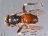  ( - NorSy265)  @13 [ ] CreativeCommons - Attribution Non-Commercial Share-Alike (2012) NTNU Museum of Natural History and Archaeology NTNU Museum of Natural History and Archaeology