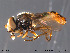  ( - NorSy274)  @13 [ ] CreativeCommons - Attribution Non-Commercial Share-Alike (2012) NTNU Museum of Natural History and Archaeology NTNU Museum of Natural History and Archaeology