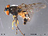  ( - NorSy281)  @13 [ ] CreativeCommons - Attribution Non-Commercial Share-Alike (2012) NTNU Museum of Natural History and Archaeology NTNU Museum of Natural History and Archaeology