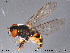  ( - NorSy282)  @14 [ ] CreativeCommons - Attribution Non-Commercial Share-Alike (2012) NTNU Museum of Natural History and Archaeology NTNU Museum of Natural History and Archaeology