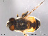  ( - NorSy285)  @13 [ ] CreativeCommons - Attribution Non-Commercial Share-Alike (2012) NTNU Museum of Natural History and Archaeology NTNU Museum of Natural History and Archaeology