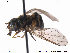  ( - NorSy310)  @12 [ ] CreativeCommons - Attribution Non-Commercial Share-Alike (2012) NTNU Museum of Natural History and Archaeology NTNU Museum of Natural History and Archaeology