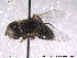  ( - NorSy313)  @12 [ ] CreativeCommons - Attribution Non-Commercial Share-Alike (2012) NTNU Museum of Natural History and Archaeology NTNU Museum of Natural History and Archaeology