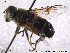 ( - NorSy319)  @13 [ ] CreativeCommons - Attribution Non-Commercial Share-Alike (2012) NTNU Museum of Natural History and Archaeology NTNU Museum of Natural History and Archaeology