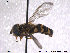  ( - NorSy321)  @12 [ ] CreativeCommons - Attribution Non-Commercial Share-Alike (2012) NTNU Museum of Natural History and Archaeology NTNU Museum of Natural History and Archaeology