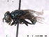  ( - NorSy335)  @11 [ ] CreativeCommons - Attribution Non-Commercial Share-Alike (2012) NTNU Museum of Natural History and Archaeology NTNU Museum of Natural History and Archaeology