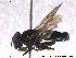  ( - NorSy337)  @11 [ ] CreativeCommons - Attribution Non-Commercial Share-Alike (2012) NTNU Museum of Natural History and Archaeology NTNU Museum of Natural History and Archaeology
