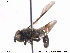  ( - NorSy345)  @12 [ ] CreativeCommons - Attribution Non-Commercial Share-Alike (2012) NTNU Museum of Natural History and Archaeology NTNU Museum of Natural History and Archaeology