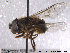  ( - NorSy351)  @12 [ ] CreativeCommons - Attribution Non-Commercial Share-Alike (2012) NTNU Museum of Natural History and Archaeology NTNU Museum of Natural History and Archaeology