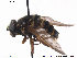 ( - NorSy358)  @12 [ ] CreativeCommons - Attribution Non-Commercial Share-Alike (2012) NTNU Museum of Natural History and Archaeology NTNU Museum of Natural History and Archaeology