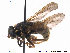  ( - NorSy360)  @13 [ ] CreativeCommons - Attribution Non-Commercial Share-Alike (2012) NTNU Museum of Natural History and Archaeology NTNU Museum of Natural History and Archaeology