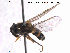 ( - NorSy369)  @13 [ ] CreativeCommons - Attribution Non-Commercial Share-Alike (2012) NTNU Museum of Natural History and Archaeology NTNU Museum of Natural History and Archaeology