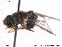  ( - NorSy374)  @13 [ ] CreativeCommons - Attribution Non-Commercial Share-Alike (2012) NTNU Museum of Natural History and Archaeology NTNU Museum of Natural History and Archaeology
