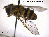  ( - NorSy392)  @13 [ ] CreativeCommons - Attribution Non-Commercial Share-Alike (2012) NTNU Museum of Natural History and Archaeology NTNU Museum of Natural History and Archaeology