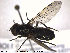  ( - NorSy403)  @12 [ ] CreativeCommons - Attribution Non-Commercial Share-Alike (2012) NTNU Museum of Natural History and Archaeology NTNU Museum of Natural History and Archaeology