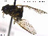  ( - NorSy409)  @12 [ ] CreativeCommons - Attribution Non-Commercial Share-Alike (2012) NTNU Museum of Natural History and Archaeology NTNU Museum of Natural History and Archaeology
