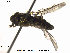  ( - NorSy410)  @12 [ ] CreativeCommons - Attribution Non-Commercial Share-Alike (2012) NTNU Museum of Natural History and Archaeology NTNU Museum of Natural History and Archaeology