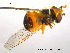  ( - NorSy73)  @13 [ ] CreativeCommons - Attribution Non-Commercial Share-Alike (2012) NTNU Museum of Natural History and Archaeology NTNU Museum of Natural History and Archaeology