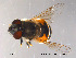  ( - NorSy84)  @14 [ ] CreativeCommons - Attribution Non-Commercial Share-Alike (2012) NTNU Museum of Natural History and Archaeology NTNU Museum of Natural History and Archaeology