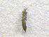  ( - NORTH_103)  @12 [ ] CreativeCommons - Attribution Non-Commercial Share-Alike (2013) Unspecified Bioforsk