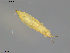  ( - KOS60)  @12 [ ] CreativeCommons - Attribution Non-Commercial Share-Alike (2011) Unspecified Bioforsk