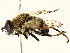  ( - BIOUG98680-H07)  @11 [ ] CreativeCommons - Attribution (2023) CBG Photography Group Centre for Biodiversity Genomics