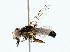  ( - BIOUG98682-D06)  @11 [ ] CreativeCommons - Attribution (2023) CBG Photography Group Centre for Biodiversity Genomics