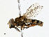  ( - BIOUG98682-F02)  @11 [ ] CreativeCommons - Attribution (2023) CBG Photography Group Centre for Biodiversity Genomics
