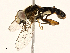  ( - BIOUG98683-F03)  @11 [ ] CreativeCommons - Attribution (2023) CBG Photography Group Centre for Biodiversity Genomics