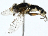  ( - BIOUG98684-A09)  @11 [ ] CreativeCommons - Attribution (2023) CBG Photography Group Centre for Biodiversity Genomics