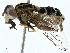  ( - BIOUG98684-B08)  @11 [ ] CreativeCommons - Attribution (2023) CBG Photography Group Centre for Biodiversity Genomics
