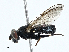  ( - BIOUG99507-C09)  @11 [ ] CreativeCommons - Attribution (2023) CBG Photography Group Centre for Biodiversity Genomics