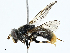 ( - BIOUG99508-E07)  @11 [ ] CreativeCommons - Attribution (2023) CBG Photography Group Centre for Biodiversity Genomics