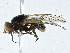  ( - CBG-A00256-G12)  @11 [ ] CreativeCommons - Attribution (2023) CBG Photography Group Centre for Biodiversity Genomics