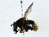  ( - CBG-A00351-A11)  @11 [ ] CreativeCommons - Attribution (2023) CBG Photography Group Centre for Biodiversity Genomics