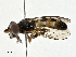 ( - CBG-A00392-A01)  @11 [ ] CreativeCommons - Attribution (2023) CBG Photography Group Centre for Biodiversity Genomics