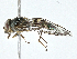  ( - CBG-A00396-H05)  @11 [ ] CreativeCommons - Attribution (2023) CBG Photography Group Centre for Biodiversity Genomics