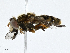  ( - CBG-A00399-F06)  @11 [ ] CreativeCommons - Attribution (2023) CBG Photography Group Centre for Biodiversity Genomics