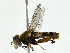  ( - CBG-A00399-H01)  @11 [ ] CreativeCommons - Attribution (2023) CBG Photography Group Centre for Biodiversity Genomics