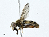  ( - CBG-A00400-A09)  @11 [ ] CreativeCommons - Attribution (2023) CBG Photography Group Centre for Biodiversity Genomics