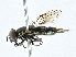  ( - CBG-A00400-B08)  @11 [ ] CreativeCommons - Attribution (2023) CBG Photography Group Centre for Biodiversity Genomics