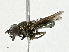  ( - CBG-A00400-E01)  @11 [ ] CreativeCommons - Attribution (2023) CBG Photography Group Centre for Biodiversity Genomics