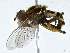  ( - CBG-A01186-G12)  @11 [ ] CreativeCommons - Attribution (2023) CBG Photography Group Centre for Biodiversity Genomics