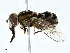  ( - CBG-A01186-H10)  @11 [ ] CreativeCommons - Attribution (2023) CBG Photography Group Centre for Biodiversity Genomics