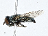  ( - CBG-A01187-D04)  @11 [ ] CreativeCommons - Attribution (2023) CBG Photography Group Centre for Biodiversity Genomics